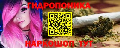 прущие грибы Пенза