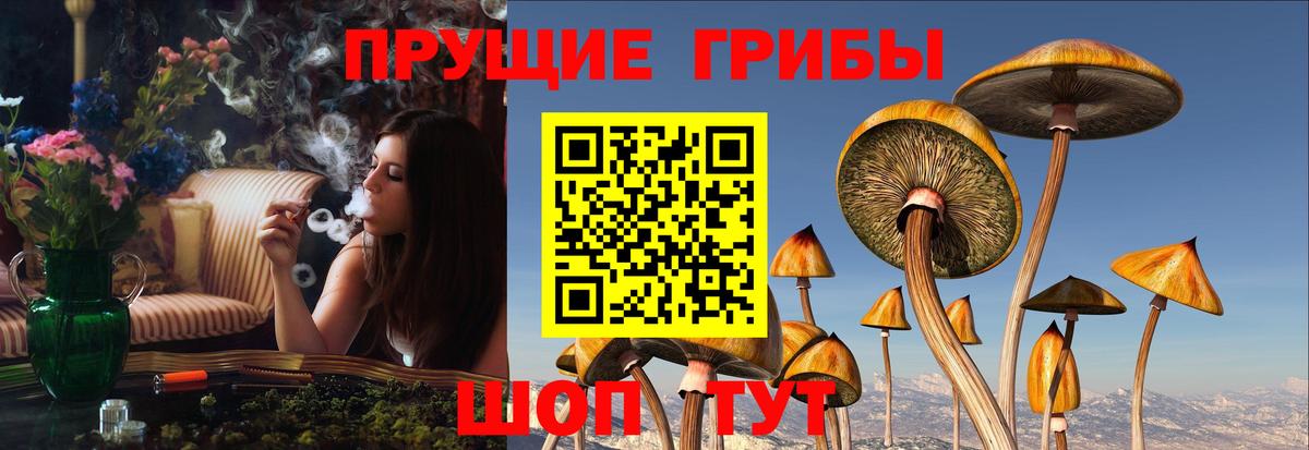 Галлюциногенные грибы прущие грибы Родники