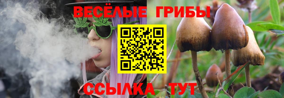 купить наркотик  Псилоцибиновые грибы Magic Shrooms  Вход с VPN  Родники 