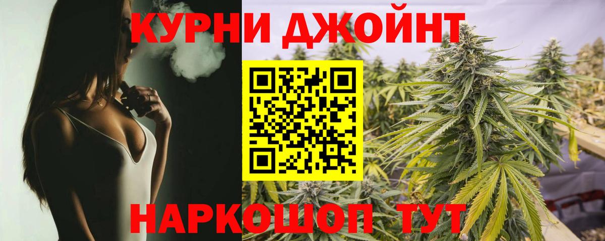 Марихуана сатива  Вход с VPN  Конопля OG Kush  Шишки марихуана план  Каннабис Ganja  Родники 